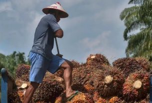 Gara-gara Sawit, Hubungan EU dengan Malaysia Memburuk