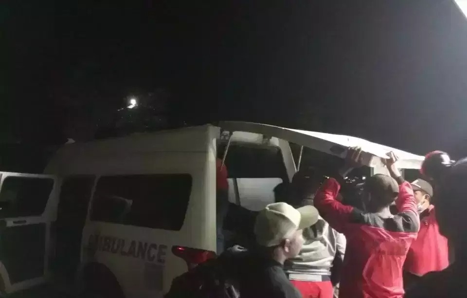 Pekerja Perkebunan Riau Tewas di Terkam Harimau