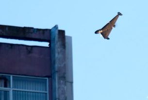 Pilot F-16 Ukraina Tewas Dalam Serangan Rusia