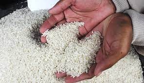 Kapolri Gandeng Kementan Uji Lab Kasus Beras Oplosan