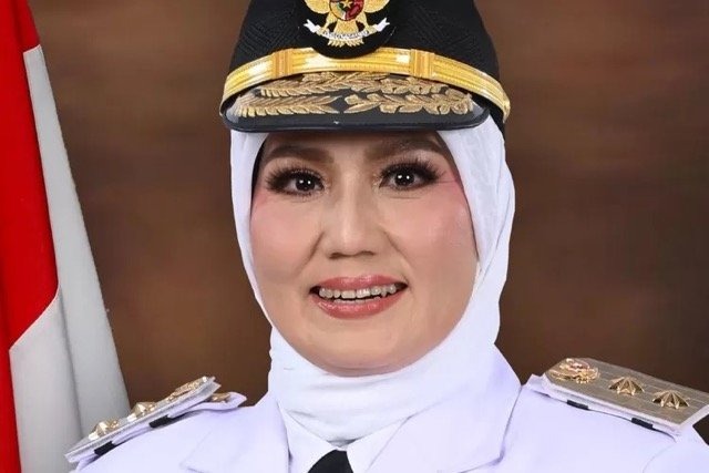 Profil Wagub BABEL Hellyana yang Dituding Pakai Ijazah Palsu