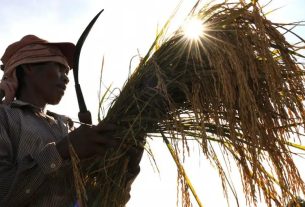 RI Bakal Jadi Incaran Vietnam buat Ekspor Beras