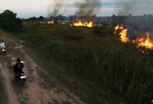 Wilayah Sumatera Mengalami Lonjakan Titik Api Sebanyak 14 Kali Lipat Dalam Kurun Waktu 1,5 Minggu