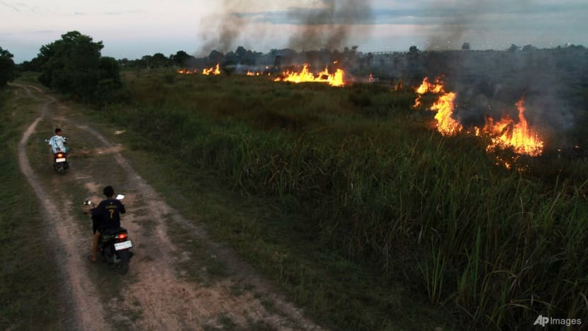 Wilayah Sumatera Mengalami Lonjakan Titik Api Sebanyak 14 Kali Lipat Dalam Kurun Waktu 1,5 Minggu